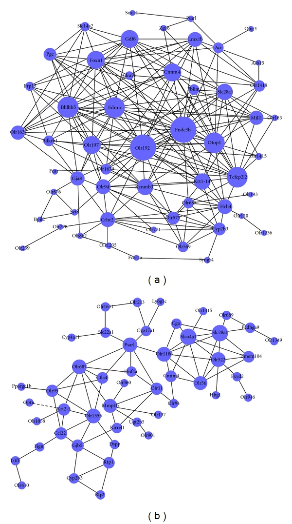 Figure 5