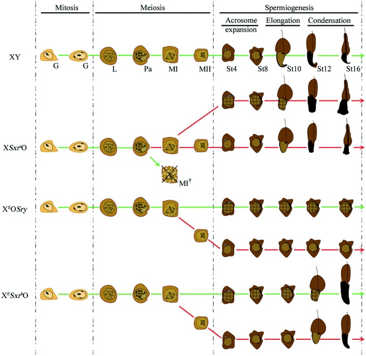 Figure 7