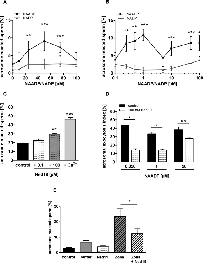 FIGURE 5: