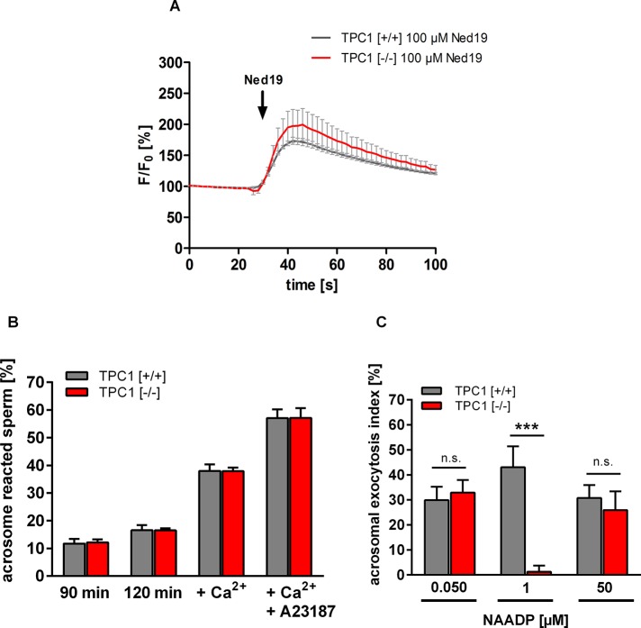 FIGURE 6: