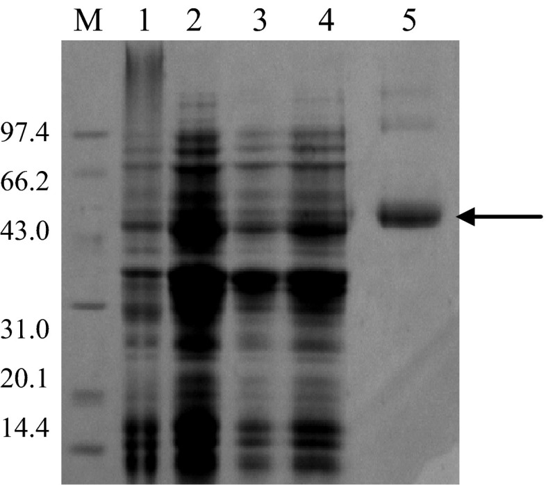 Fig. 3