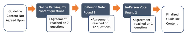 Modified Delphi panel review process and results