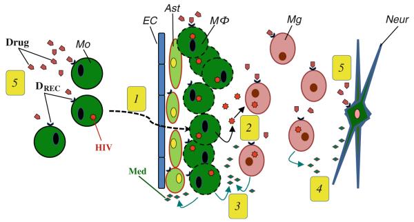 Fig. 1