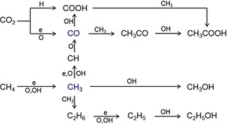 Scheme 2