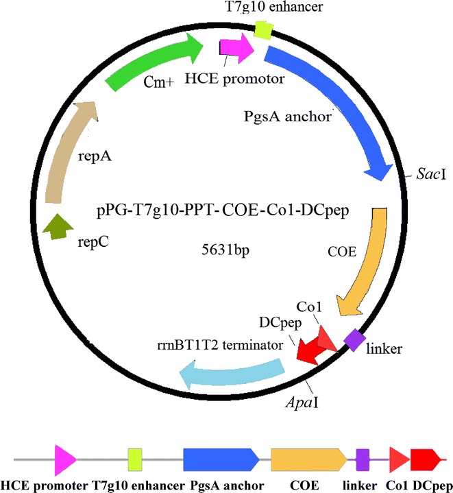 Fig. 1