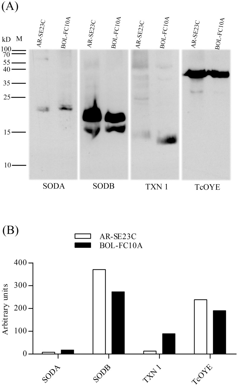 Fig 4