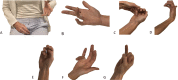 Fig. 1 A-G