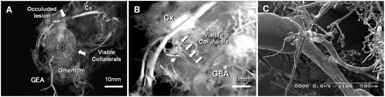 Figure 2: