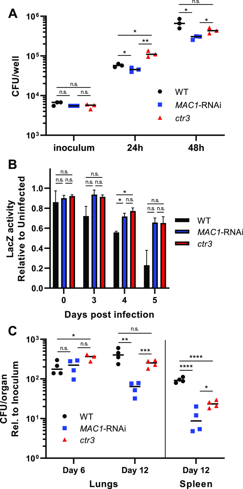 FIG 4