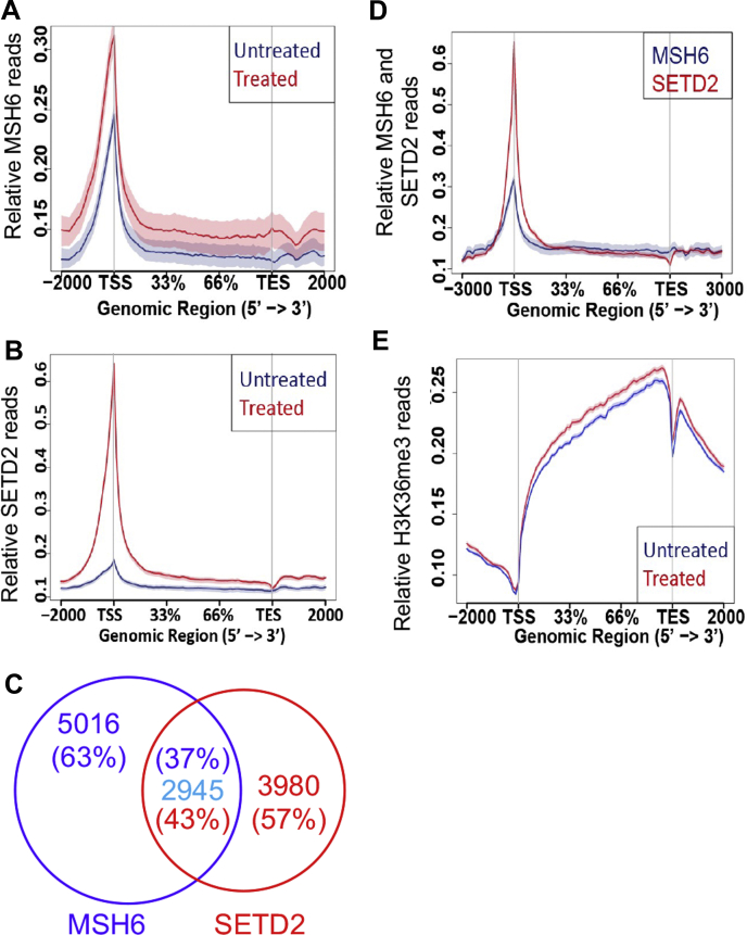 Figure 5