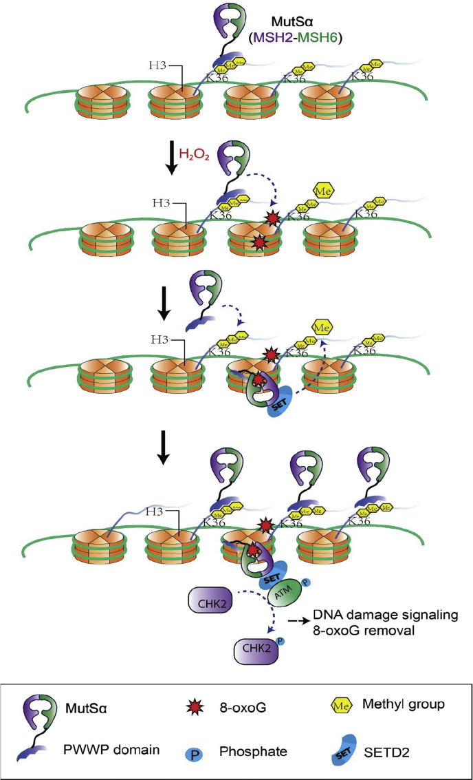 Figure 6