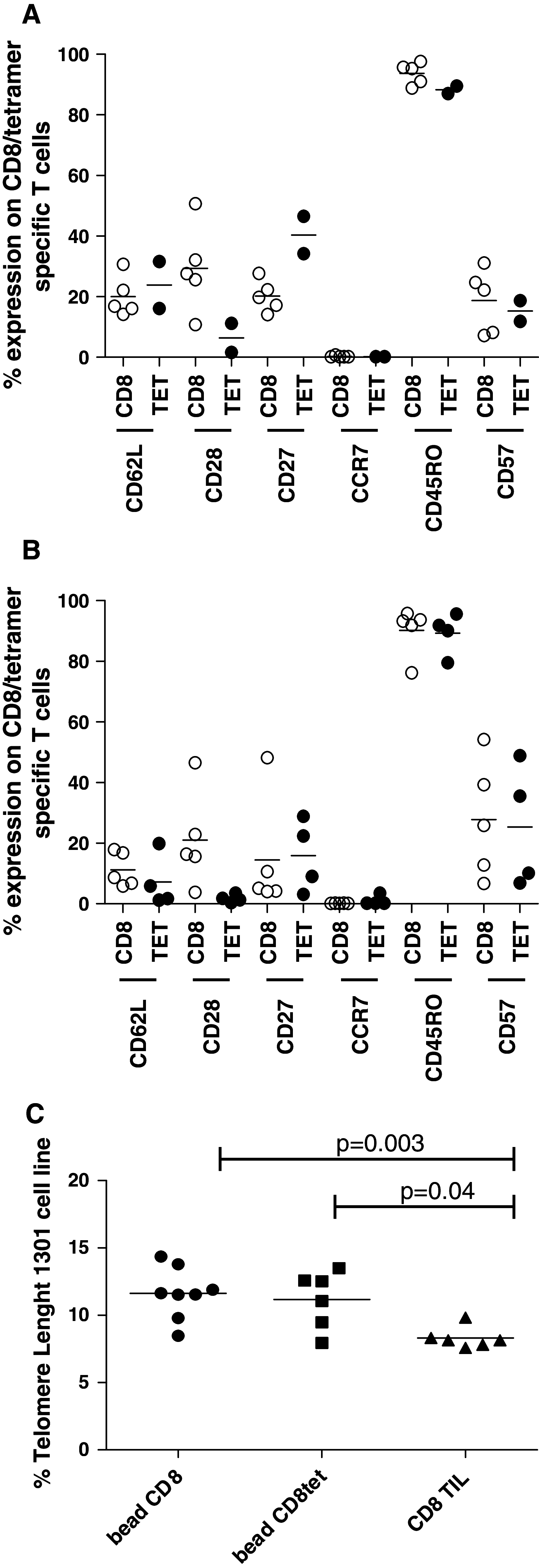 Fig. 5