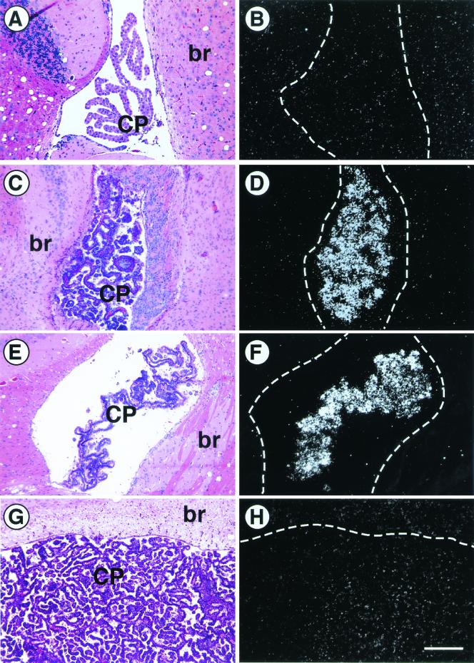 FIG. 5.