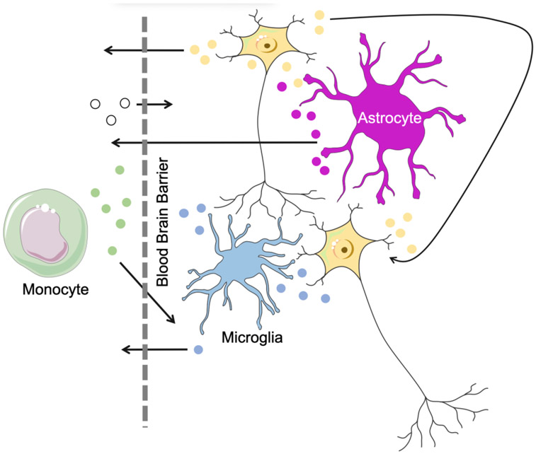 FIGURE 2: