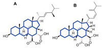 graphic file with name biomolecules-11-01860-i028.jpg