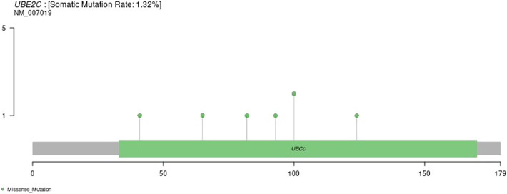 FIGURE 12