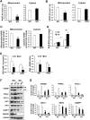 Figure 5