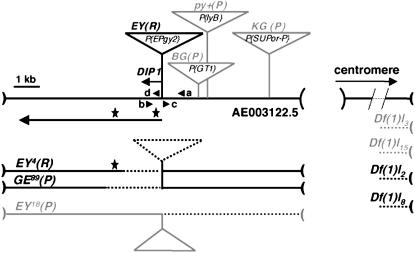 Figure 1.—