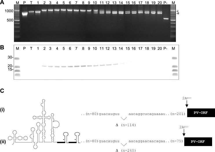 FIG. 7.