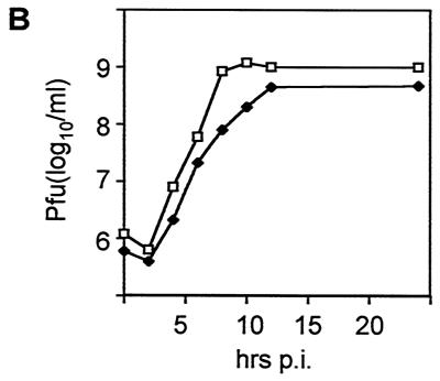 FIG. 5.