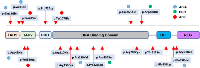 Figure 2