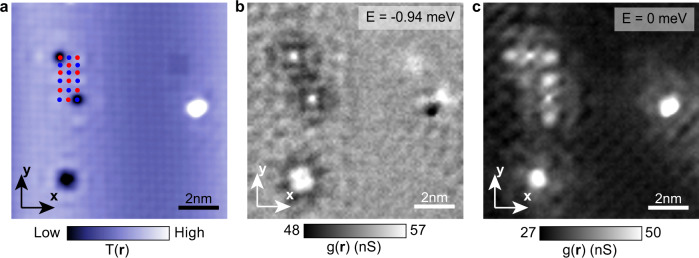 Fig. 3