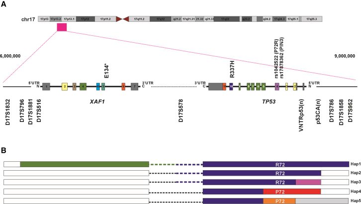 Figure 1