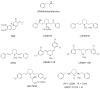 Figure 2.1