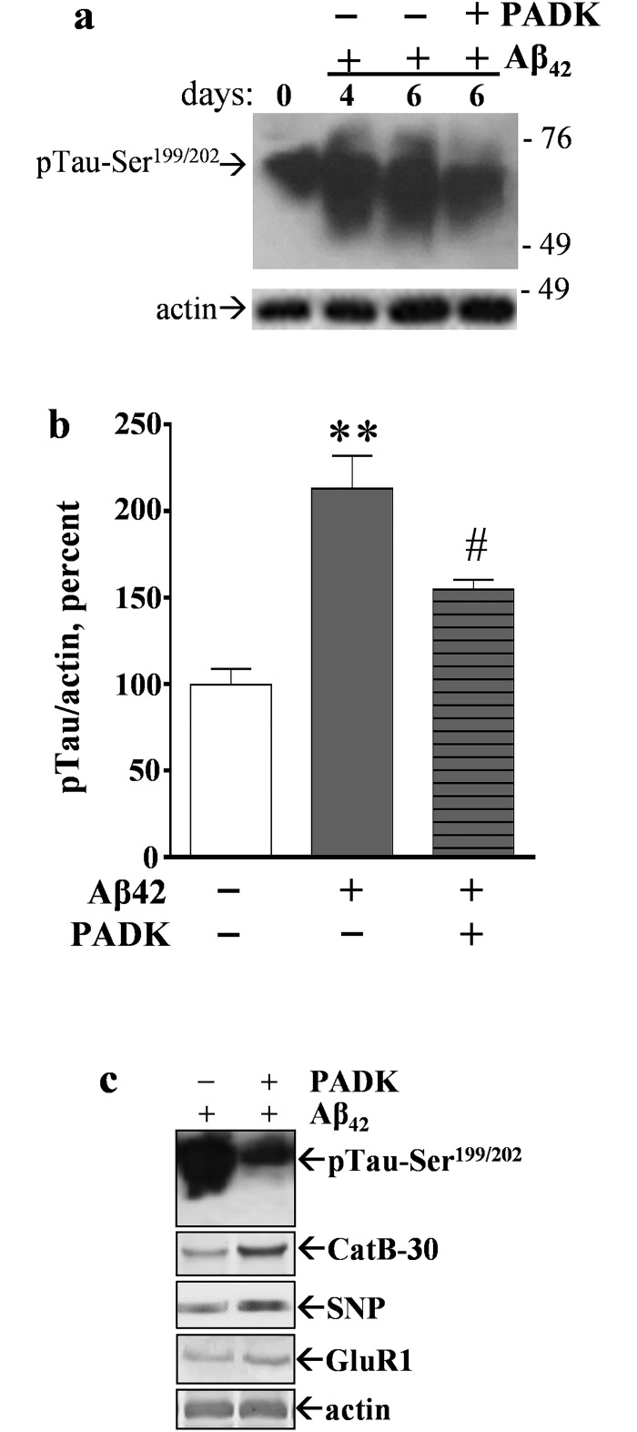 Fig 10