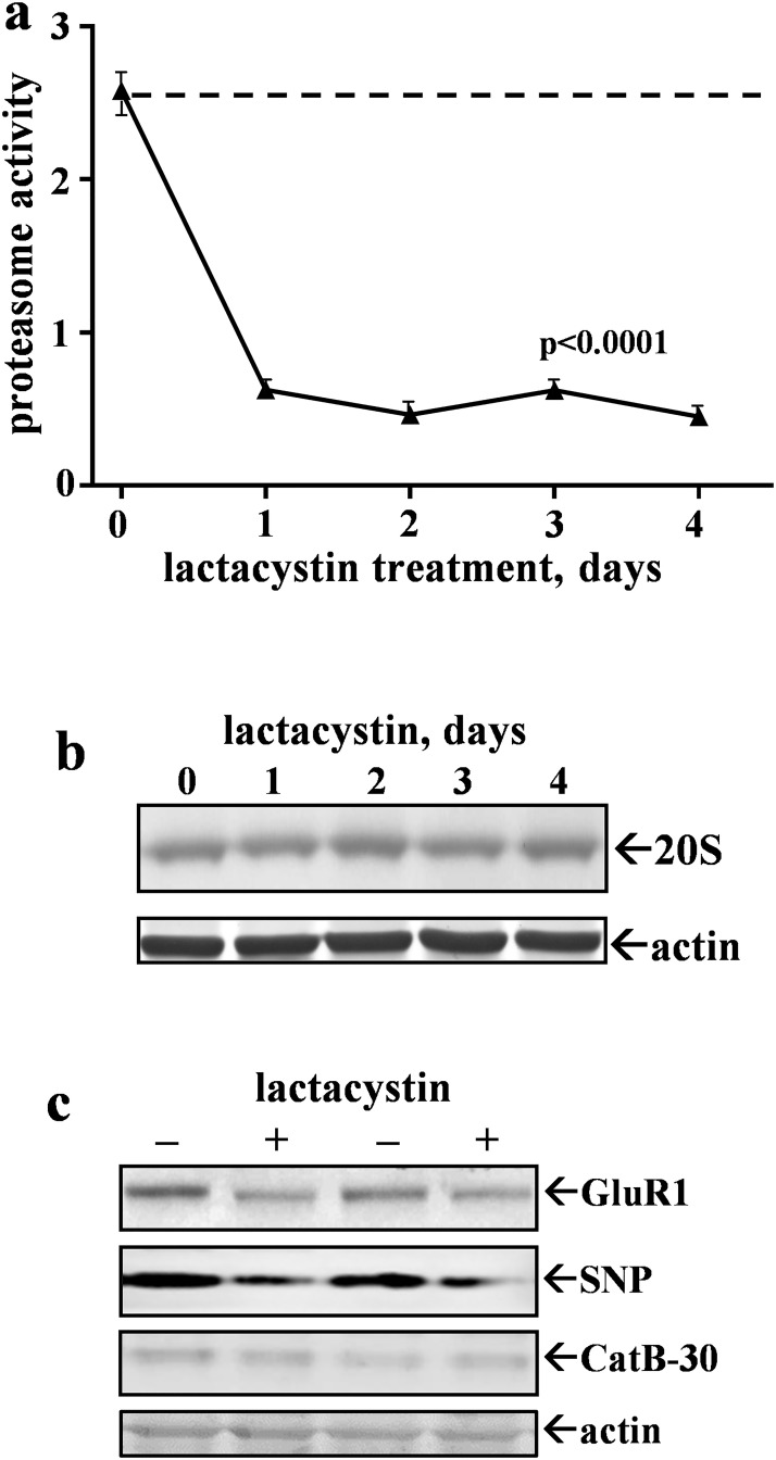 Fig 4