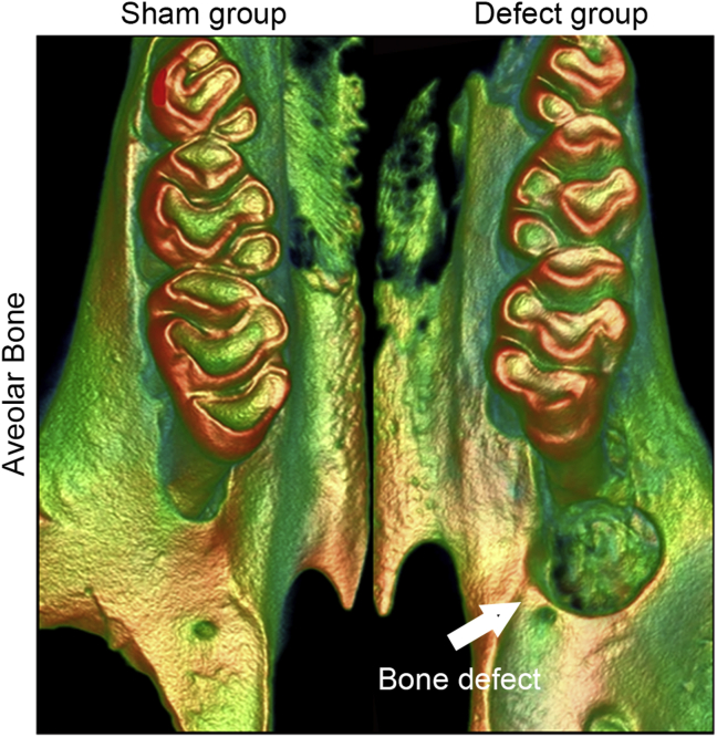 Figure 1