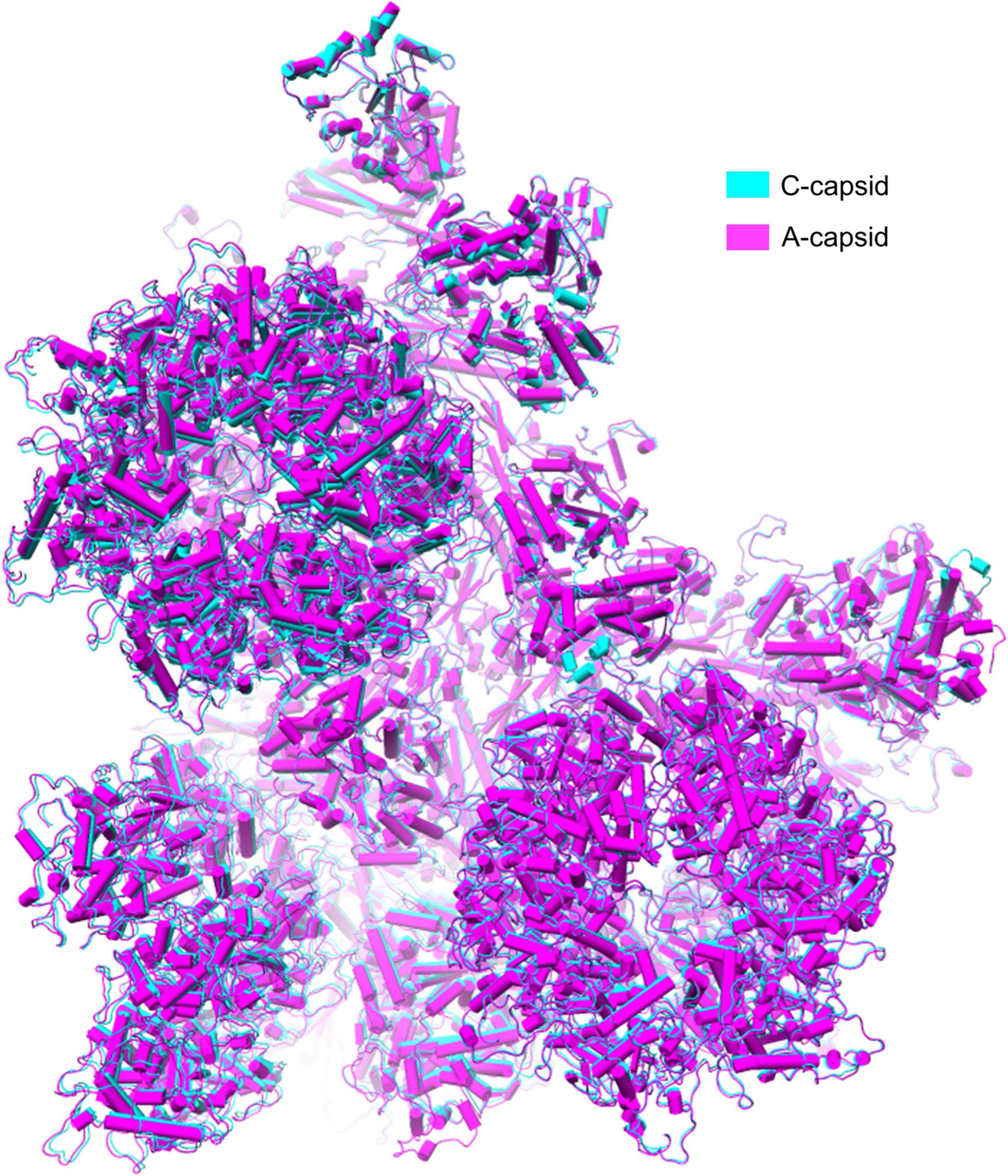 Extended Data Fig. 6 |