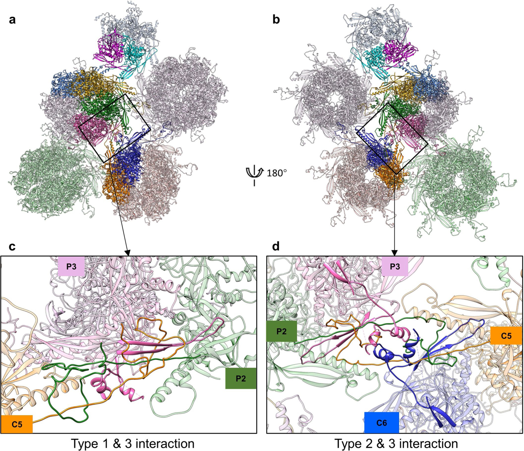 Extended Data Fig. 7 |