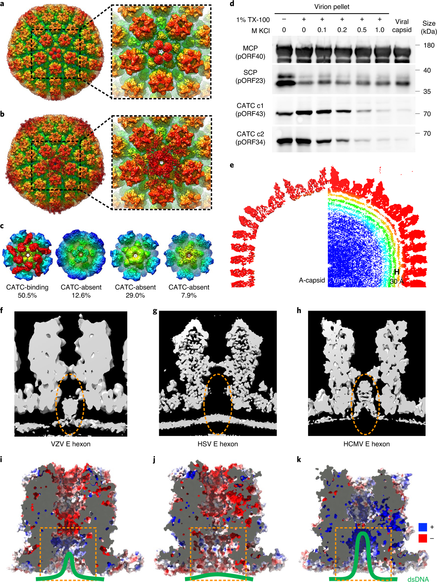 Fig. 4 |