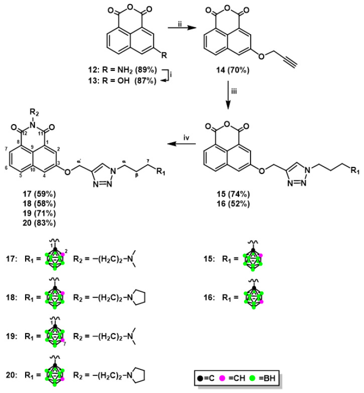 Scheme 2