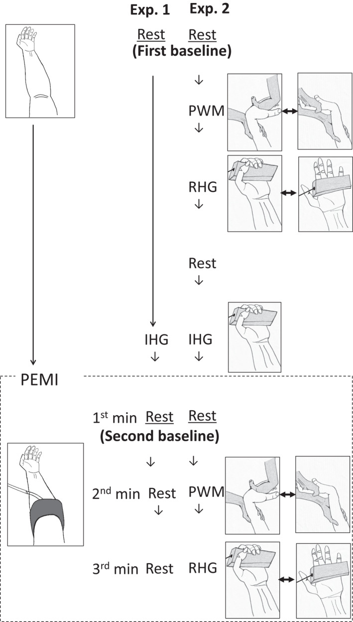 FIGURE 1