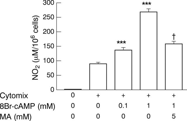 Figure 2  