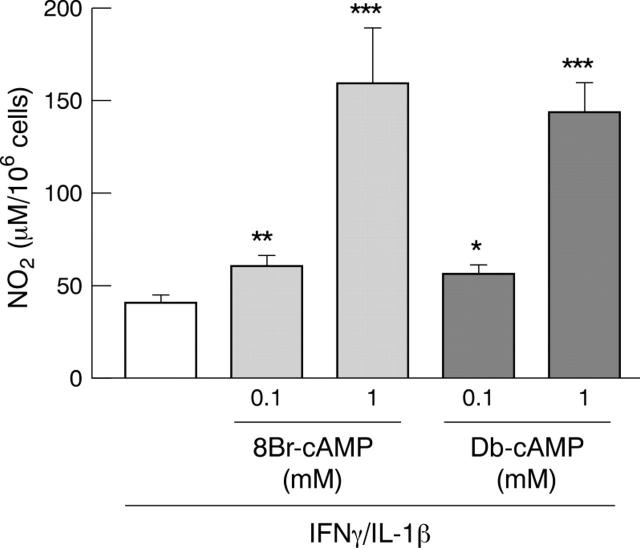 Figure 1  