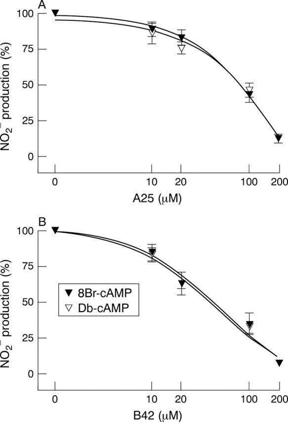 Figure 6  