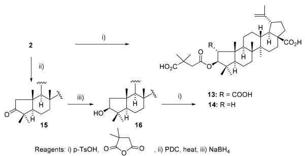 Scheme 2