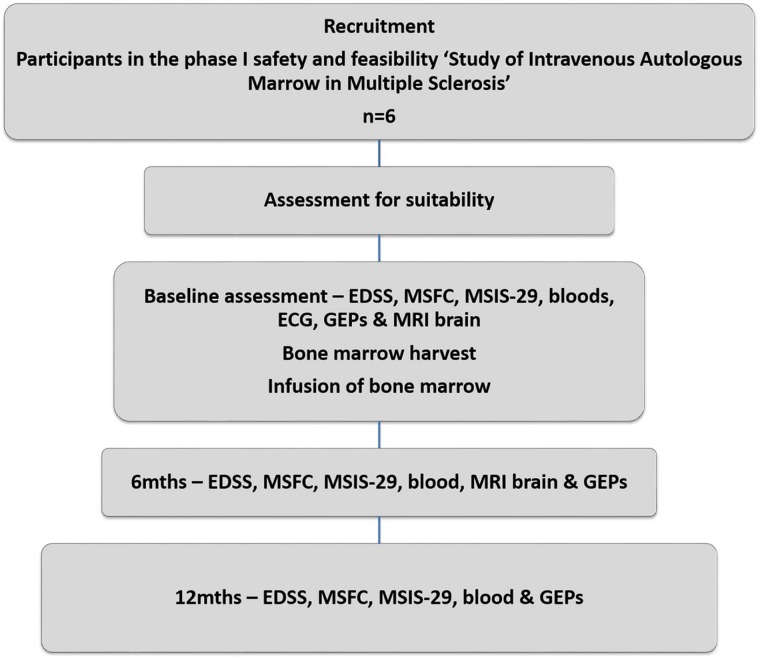 Figure 1