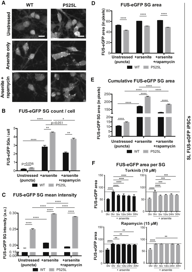 Figure 6