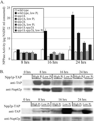 FIG. 4.