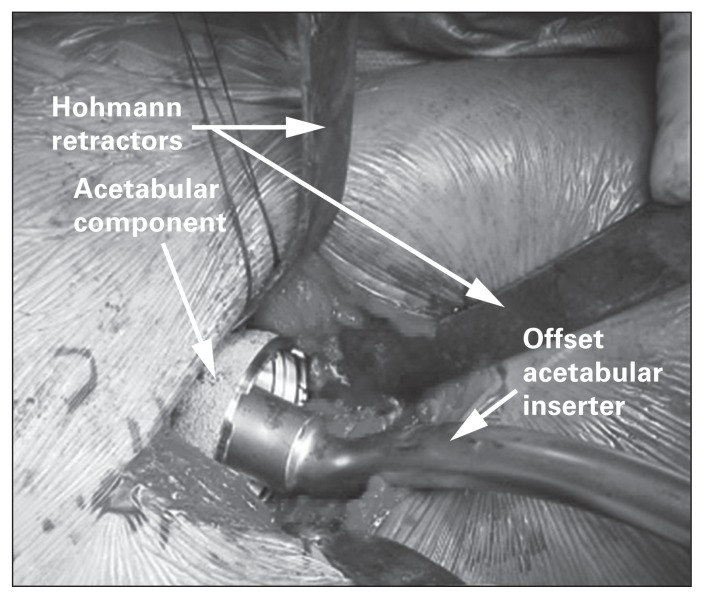 Fig. 5