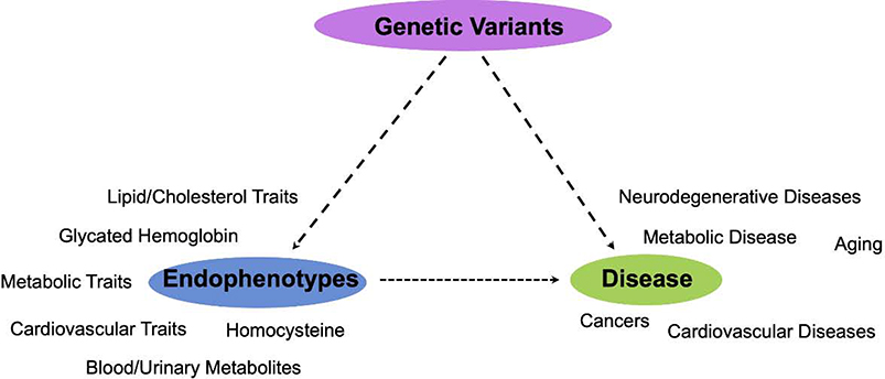 Figure 6 –