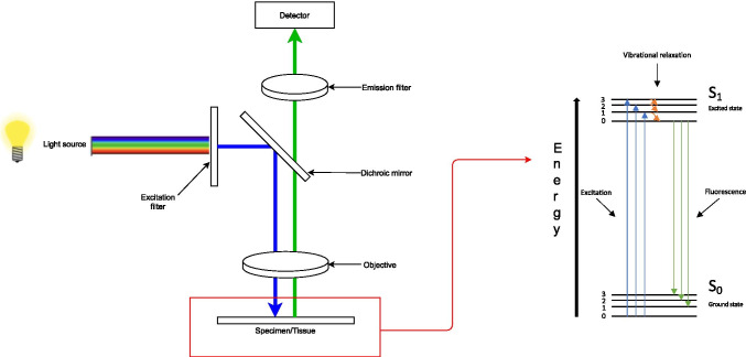 Fig. 1