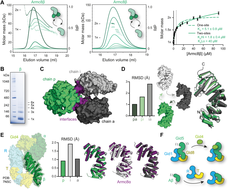 Figure 4