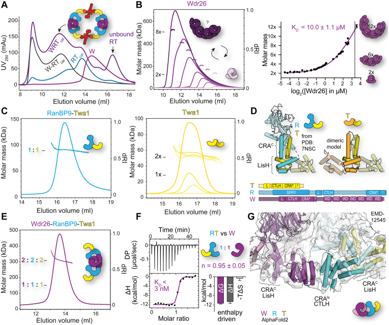 Figure 2