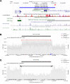 Fig. 4: