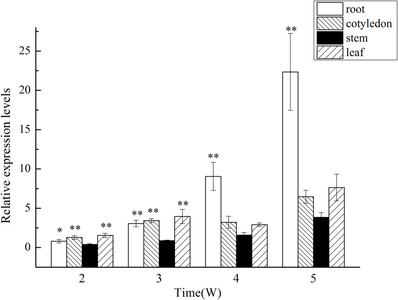 Fig 6